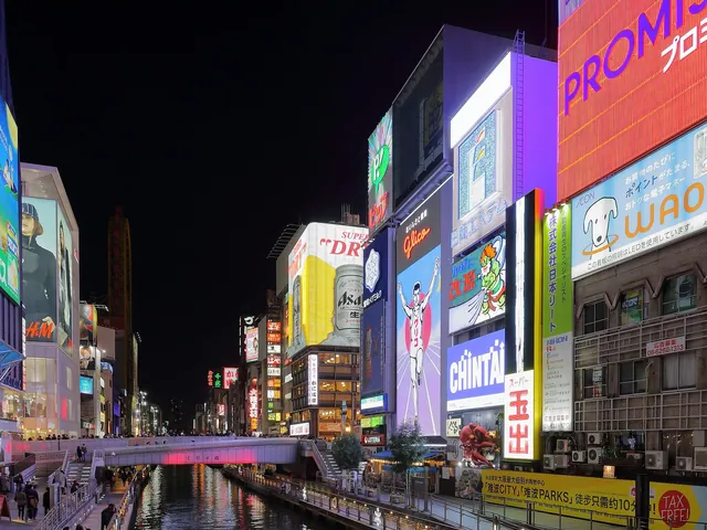 The Osaka Casino Rules — illustration